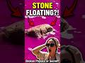 Stone Floating in Water?! Physics Broken or a Secret Trick?