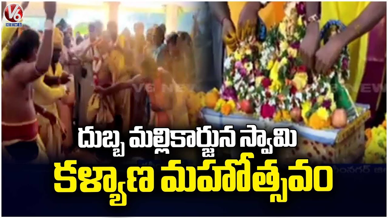 Dubba Mallikarjuna Swamy Kalyana Mahothsavam At Jammikunta  | Karimnagar | V6 News