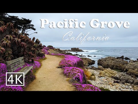 [4K] Pacific Grove - California USA -  Coastal Walking Tour