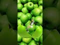 #short/#youtubeshort/#viral/#fruit/#greenApple/craving/#satisfying/thankuTrix/@EMAsHelpingHand 🍏🥰