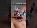 When you have a whole horror in your hand! @nadushes