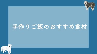 犬ご飯手作り講座｜手作りごはんにおすすめな食材について