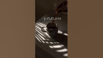 سوره النصر بصوت القارئ عبد الرحمن مسعد🤍☄️ #قرآن #اللهم_صل_وسلم_على_نبينا_محمد #قران_كريم #راحة_نفسية