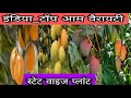 Top Best Mango Varieties Top Popular Mango Varieties in India