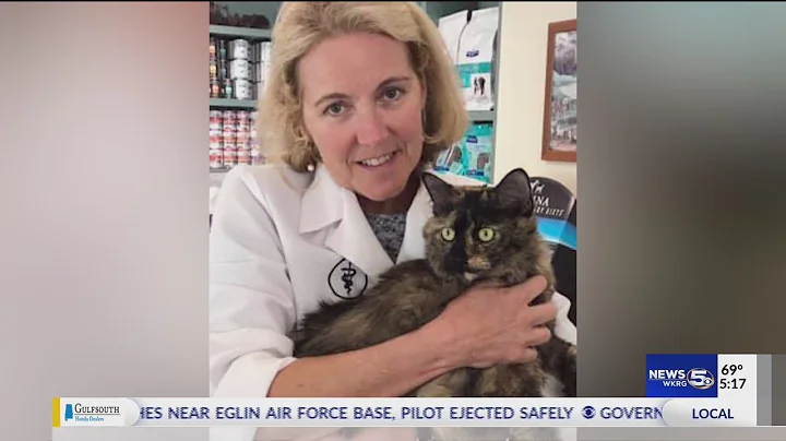 Hometown Hero: Linda Knight
