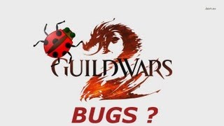 BEST Bugs & Glitches In Guild Wars 2!