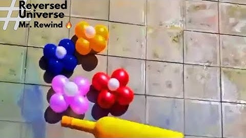 Mr. Rewind and The Satisfying of Reversing ⏳🔥