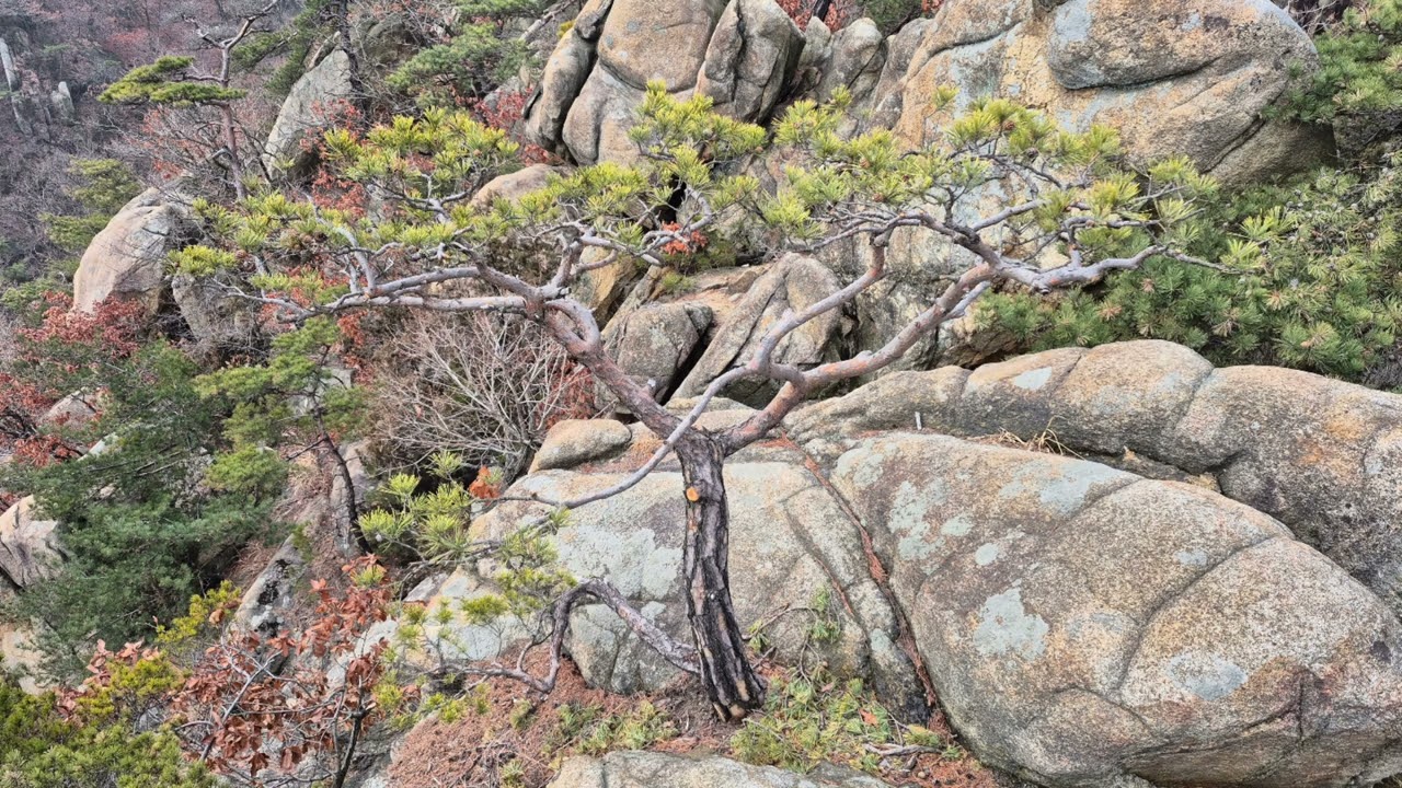 관악산 미소능선