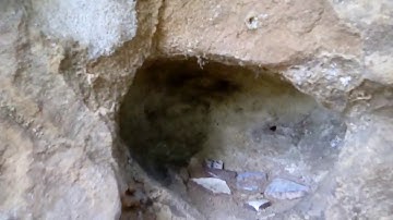 Mudfossil Cliffs at Knaresborough North Yorkshire UK