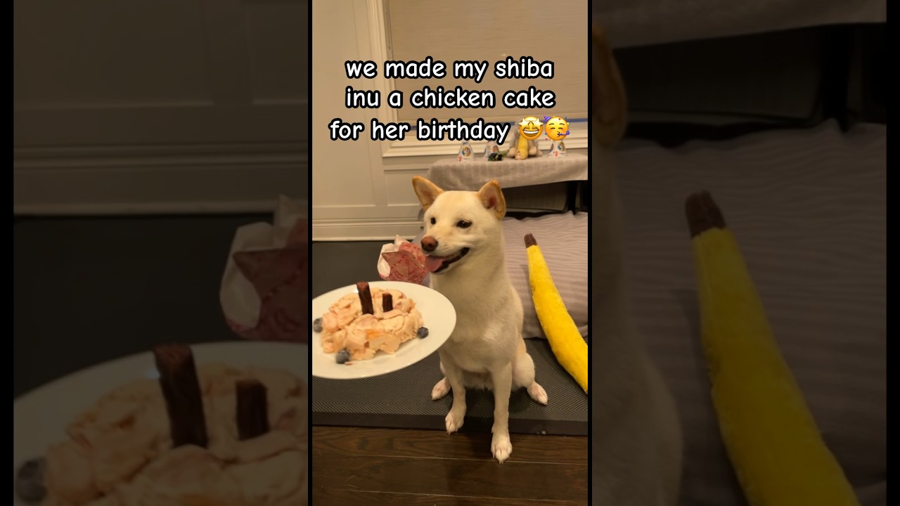 she loved the chicken cake topped with crack 🤩🥳 