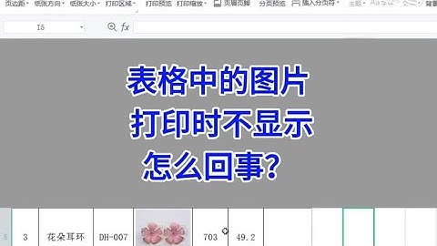 WPS Excel：表格中的图片，打印时不显示，怎么回事？#wps #excel