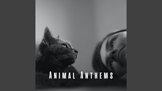 Piano Overture for Happy Pets