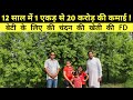 Chandan की खेती से 12 साल में करोड़ो की कमाई | Sandalwood Farming | Sandhu Agrofarm