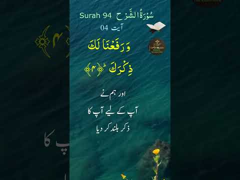 Surah Alam Nashrah (Surah Ash-Sharh) | Beautiful Recitation with Urdu Translation | Hani Al-Azouni