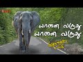 Yanai varuthu animation song  bujji tv tamil rhymes for kids    