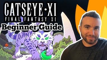 CatseyeXI Beginner Guide Final Fantasy 11 Private Server