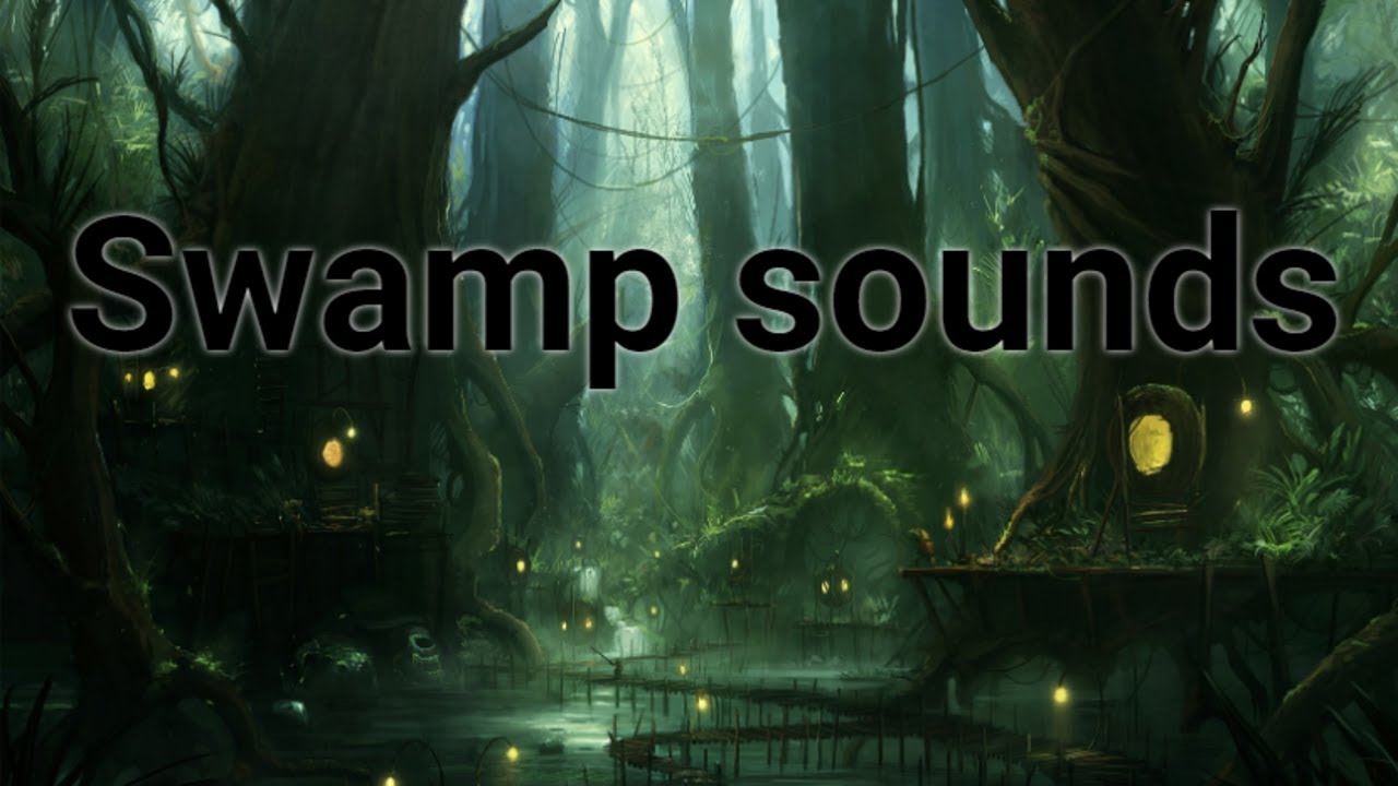 12 hours of magic swamp sounds at night (crickets, frogs, owls) for