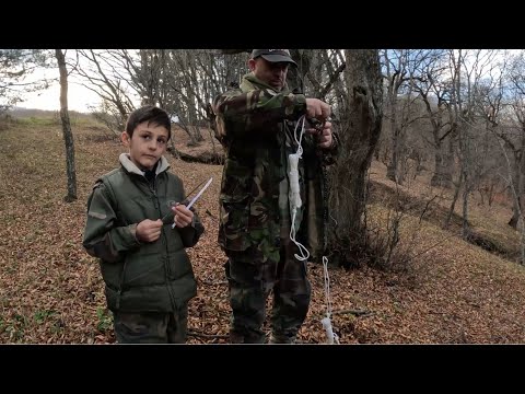 უნივერსალური ხერხი სიმაღლიდან ტოტების ჩამოსახერხად