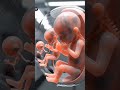 Fetal Development Stages in The Womb | Clinical 3D Animation #biology #fetalmovement #fetalbrain