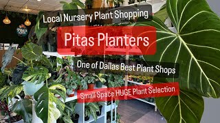 Big Box Store Plant Shopping Alternatives Shop Pita's Planters Local Dallas Plant Shop Houseplants