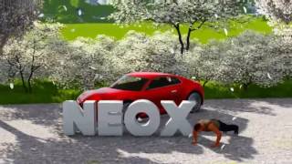 Intro Natural - Neox