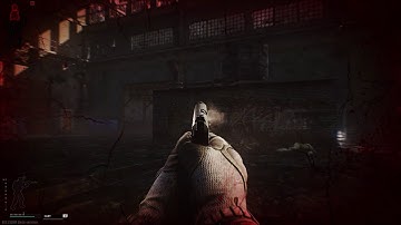 Escape from Tarkov - Ammo Bug 0.9