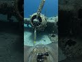 Giant Stingray with an Action Camera Discovers a Sunken U.S. Military Plane #GoProPOV #lostplane