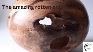 woodturning amazing rotten cherry beautiful hollow form art piece. by Richard West Woodturner 2,503 views 3 months ago 13 minutes, 51 seconds