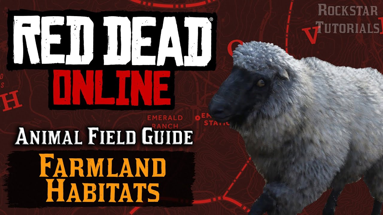 Dónde encontrar todos los animales de hábitat tierras agrícolas en Red Dead  Online