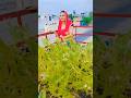 Tere Piyar m me mr jawa #reels #video #vairal #shorta #youtubeshorts