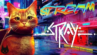 ПРОХОДИМ STRAY - АТМОСФЕРНО ЛАМПОВЫЙ СТРИМ