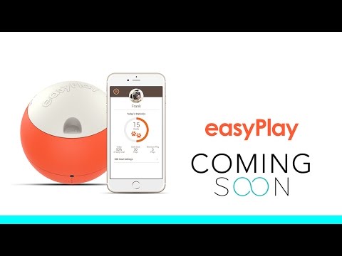 easyPlay | Smartest Interactive Pet Toy
