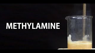 Making Methylamine HCl [NileRed re-upload]