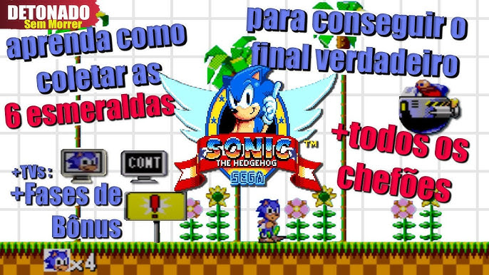 Jogo Sonic the Hedgehog Chaos - Master System - MeuGameUsado