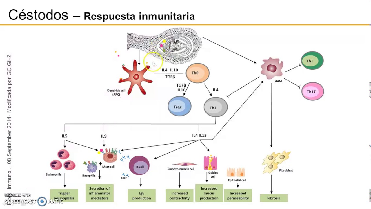 relación del parásito del huésped en microbiología relación del parásito del huésped en microbiología