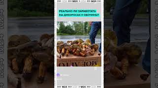 Сколько стоит собрать грибы у обочины?