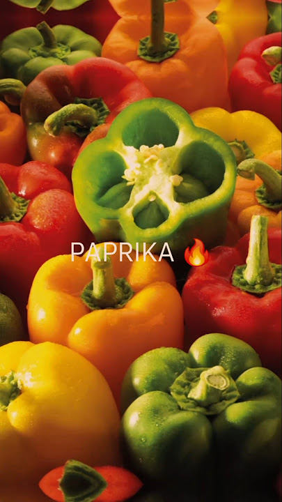 Fire Edit ✨️🌶 #DJGG #Music #Paprika #Strings #Piano #Guitar #Producer #Random #Edit  #ComingSoon #DJ