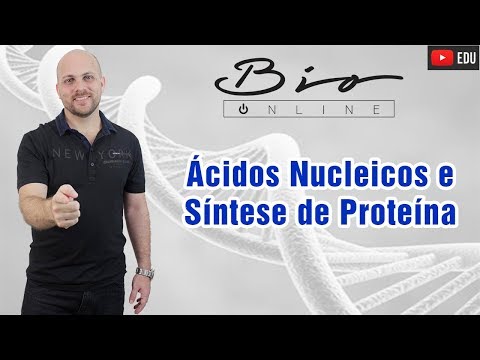 Vídeo: Por que a síntese de proteínas é altamente regulada?