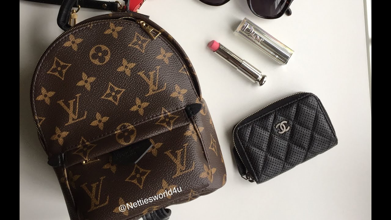 Louis Vuitton Palm Springs Backpack Mini Review