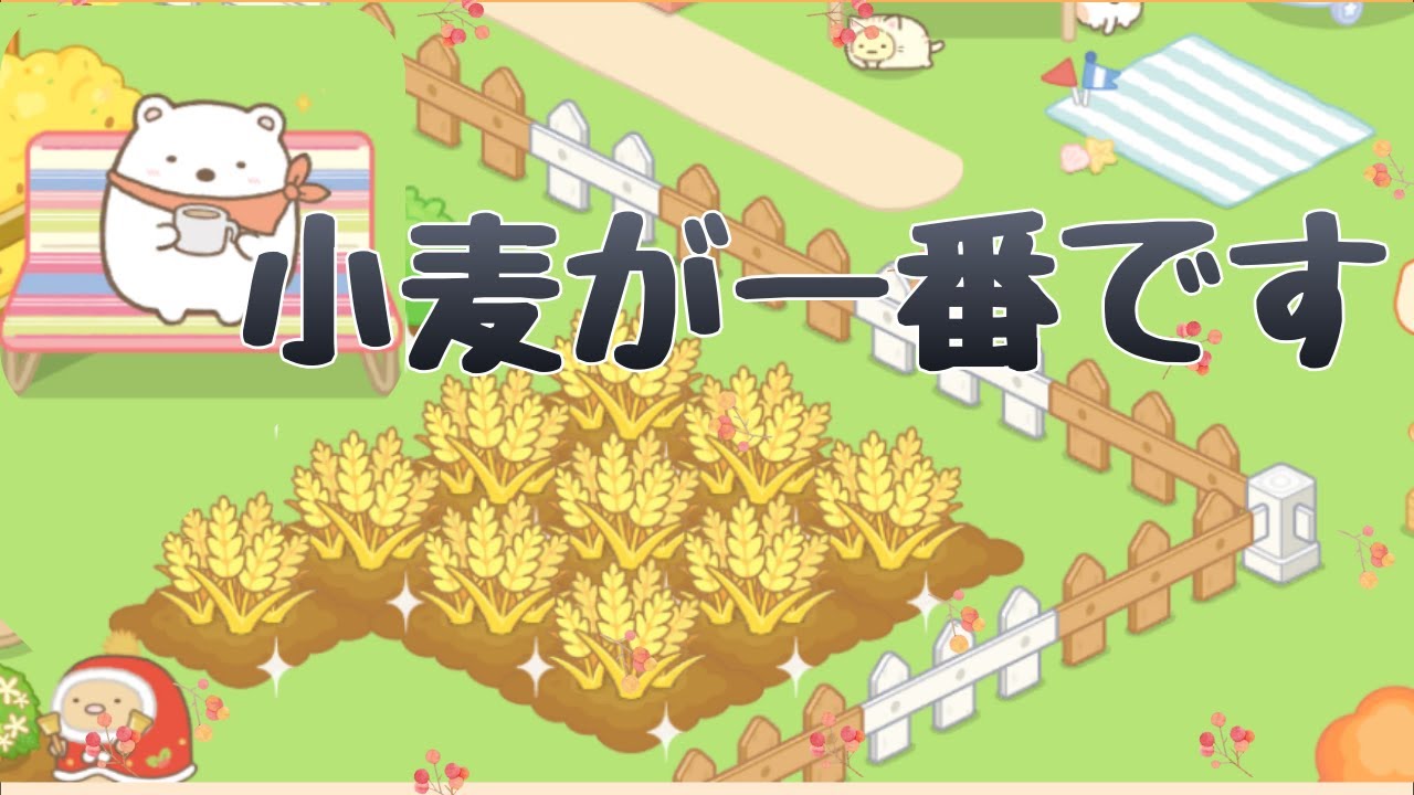 【すみっコ農園】小麦の効率って良いんですかねぇ～？スローライフ