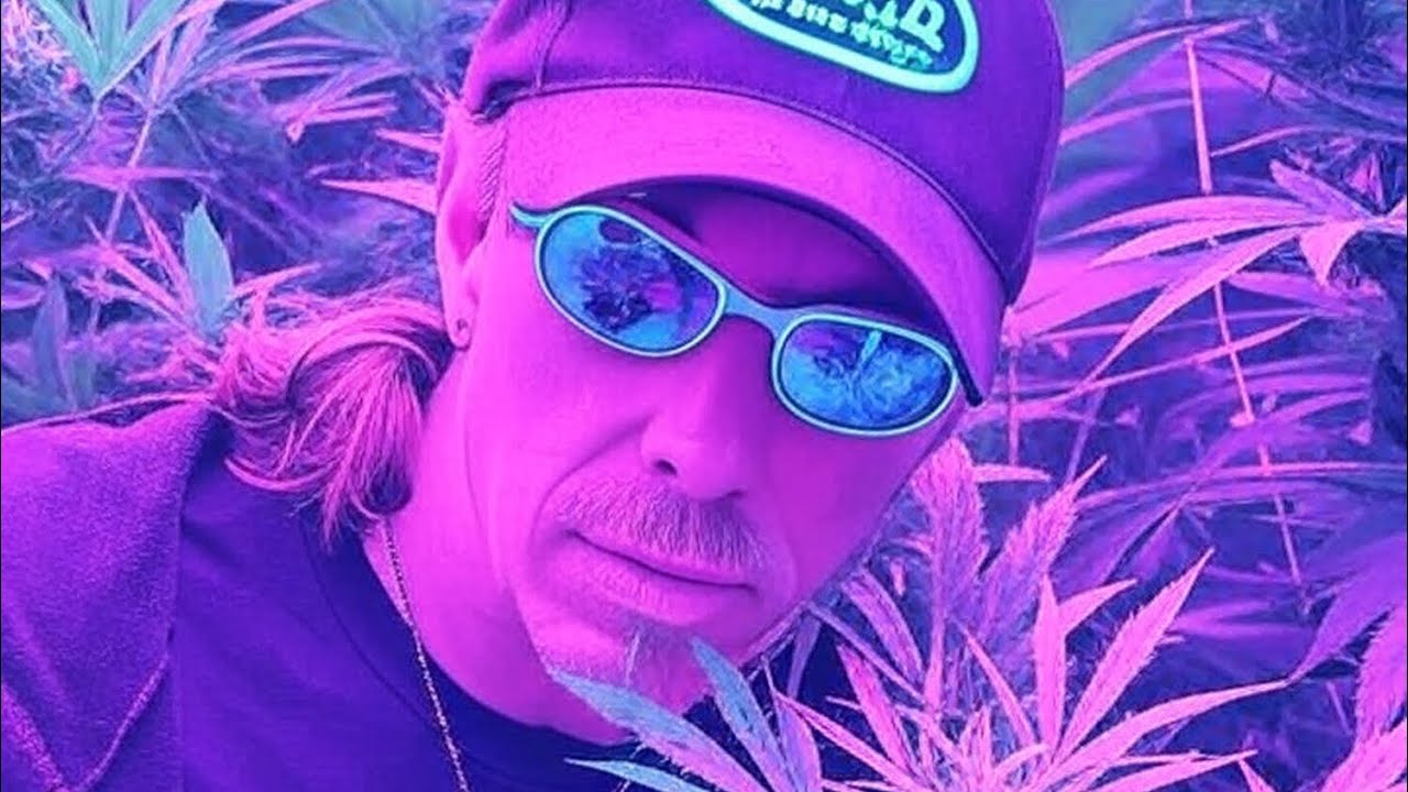 Stories about Subcool of TGA seeds