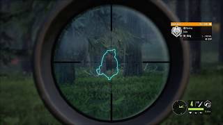 Grizzly Bear Hunting with the .300 Canning Magnum | theHunter: COTW screenshot 3