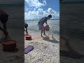 Washing Dishes With the Help of Sharks?! 🦈 #frenchpolynesia