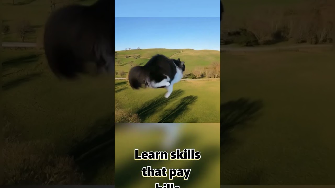 Millionaires In Training 