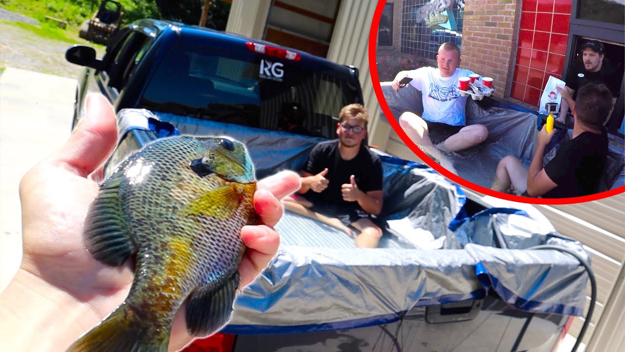 truck bed pool liner TRUCK BED POOL POND! (Wendy's Drive Thru)