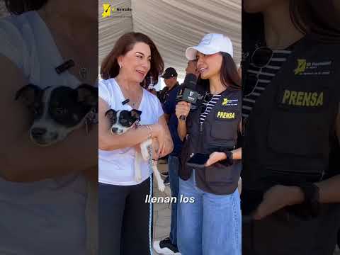 Ellos no necesitan lástima... necesitan una segunda oportunidad. #SegundaOportunidad #LorenaMartínez