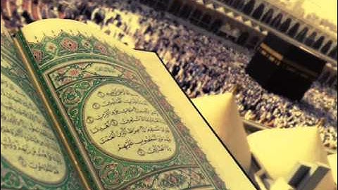 وديع حمادي حمود اليمني سورة البلد