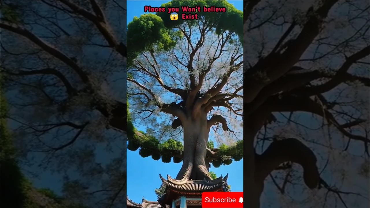 Unbelievable Natural Place You Won’t Believe Exists 🌍 #Shorts #Nature #us #uk