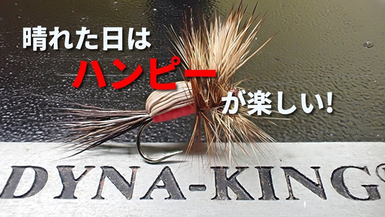 晴れた日に使いたい! ハンピー