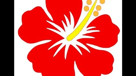 Learn how to add individual fabrics to Silhouette Library